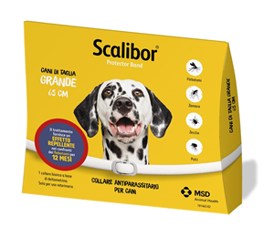 SCALIBOR PROTECTOR BAND*BI65CM - farmasorriso.com