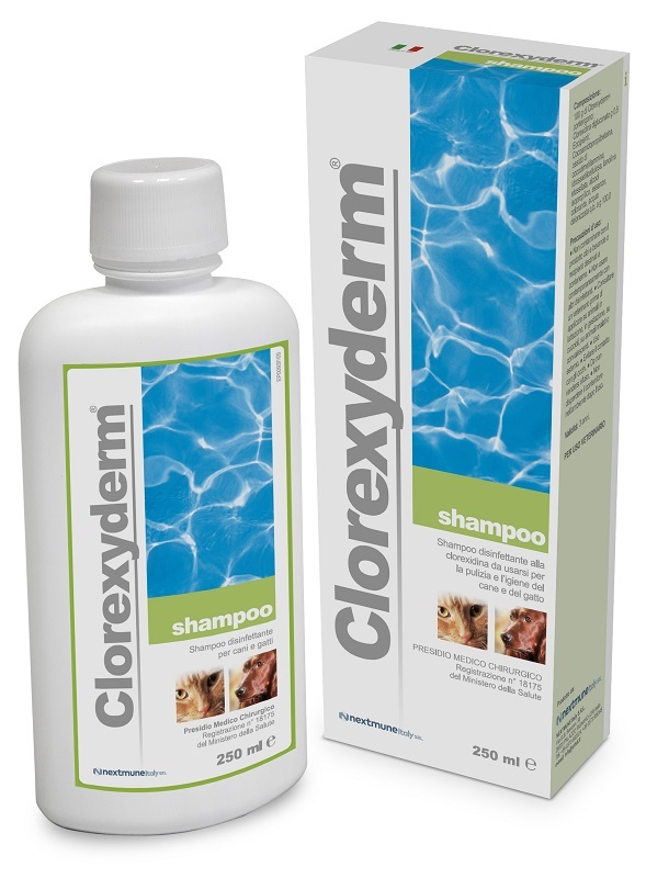 CLOREXYDERM SHAMPOO 250 ML - farmasorriso.com