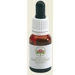 GYMEA LILY 15ML GTT - farmasorriso.com