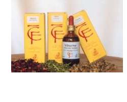 RIBES GEMME 50ML MG - farmasorriso.com