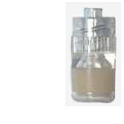 TAPPO STERILE PERFORATO LUER - farmasorriso.com