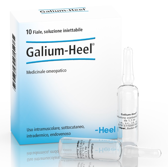 HEEL GALIUM 10 FIALE DA 1,1 ML L'UNA - farmasorriso.com