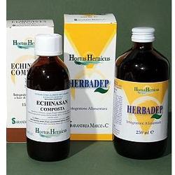 ECHINASAN COMP 150 ML - farmasorriso.com