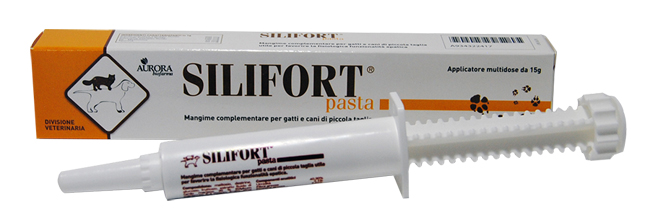 SILIFORT PASTA OS SIRINGA 15 G - farmasorriso.com
