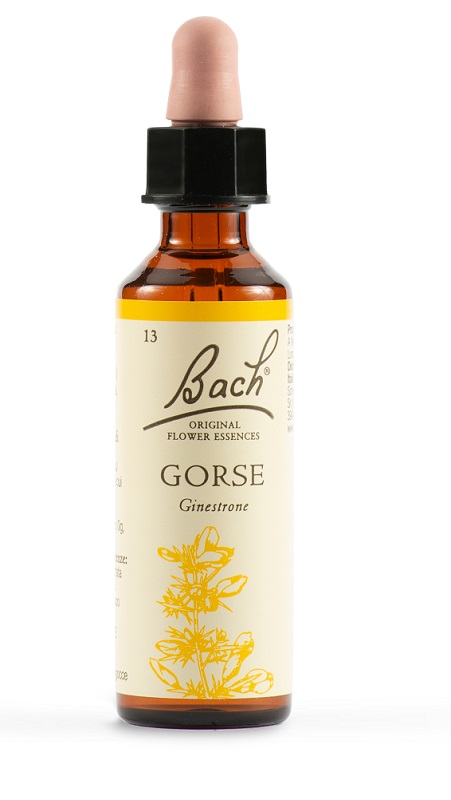 GORSE BACH ORIG 20 ML - farmasorriso.com
