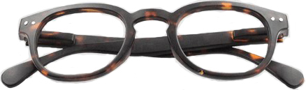 OCCHIALE DA LETTURA PREMONTATO TWINS PLATINUM RETRO MARRONE +3,50 - farmasorriso.com