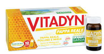 VITADYN PAPPA REALE 1000 10 FLACONCINI 10 ML - farmasorriso.com